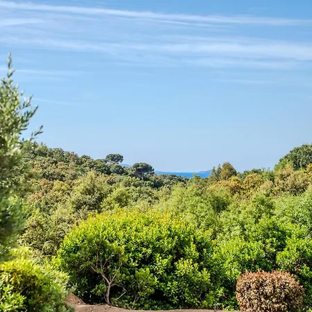 Villa Lou Tavan - 4 - Piscine & Jacuzzi Le Lavandou