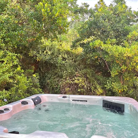 Lou Tavan - Renovee Avec Piscine & Jacuzzi - 4 Le Lavandou