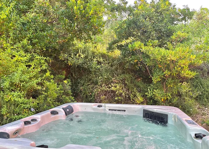 Lou Tavan - Renovee Avec Piscine & Jacuzzi - 4 Le Lavandou